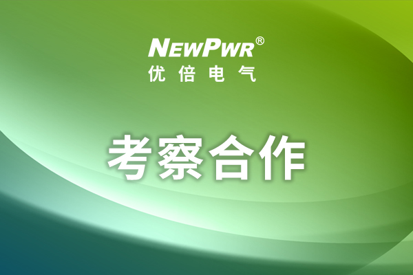 ��������(�й���)���޹�˾����